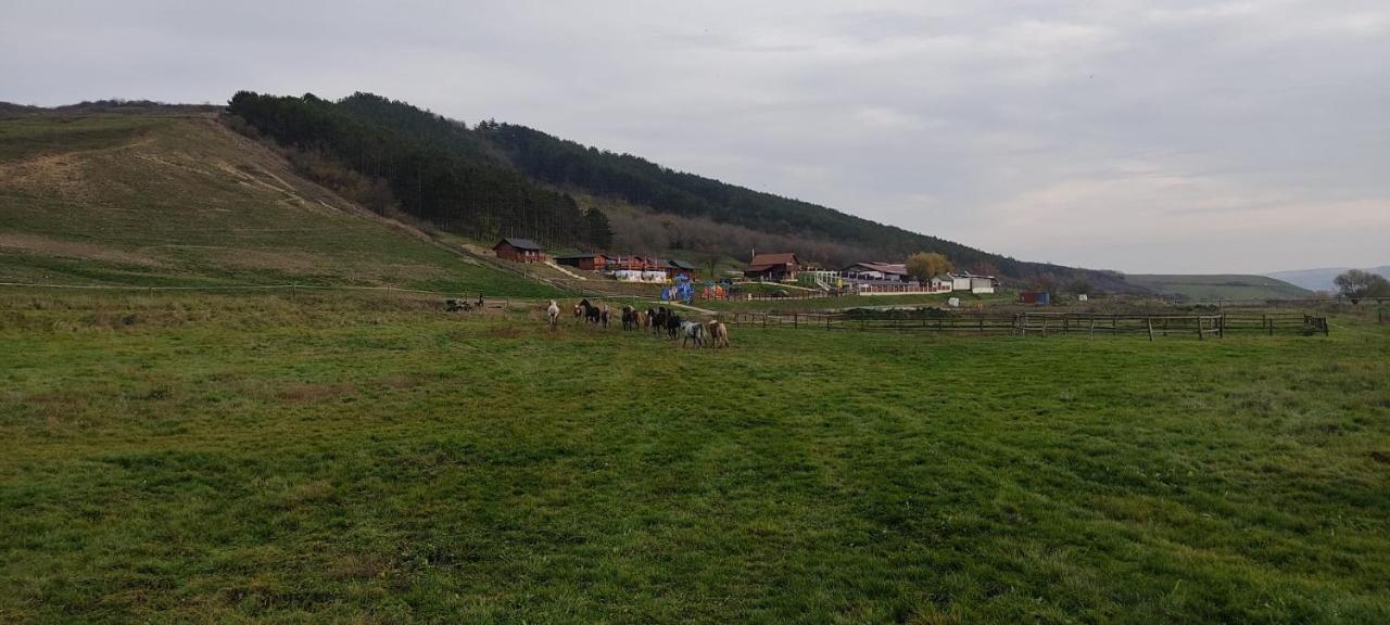 La Hacienda Otel Chetani Dış mekan fotoğraf