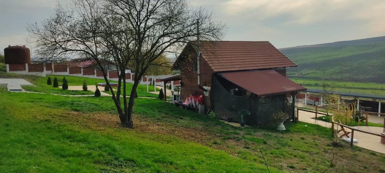 La Hacienda Otel Chetani Dış mekan fotoğraf